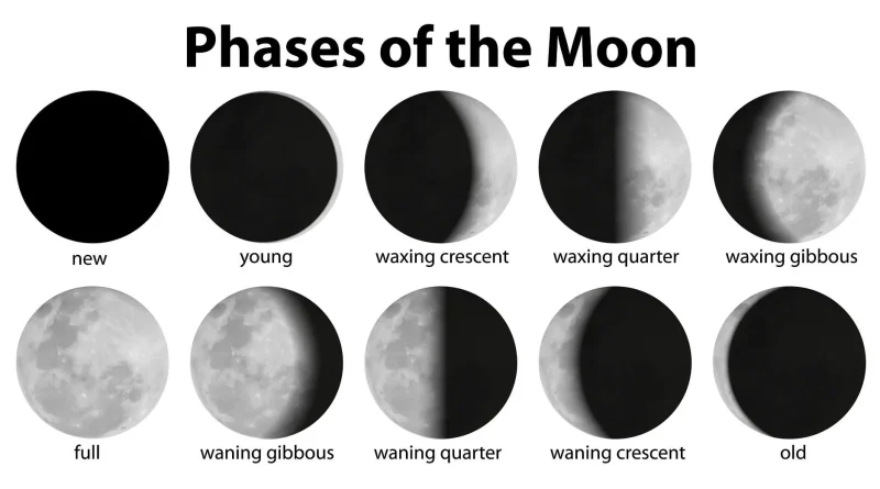 Phases of Moon